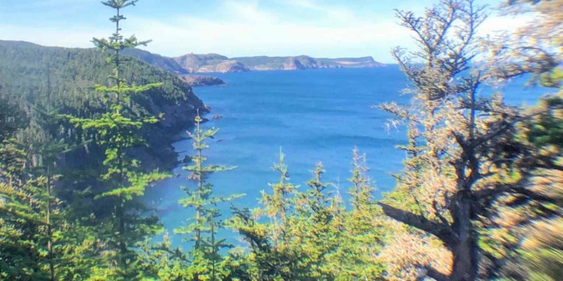 photo of cliffs from East Coast Trail Newfoundland