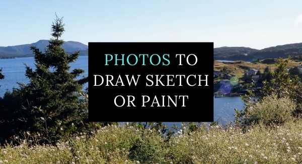 Cover for Free ebook: Photos to Draw Sketch or Paint