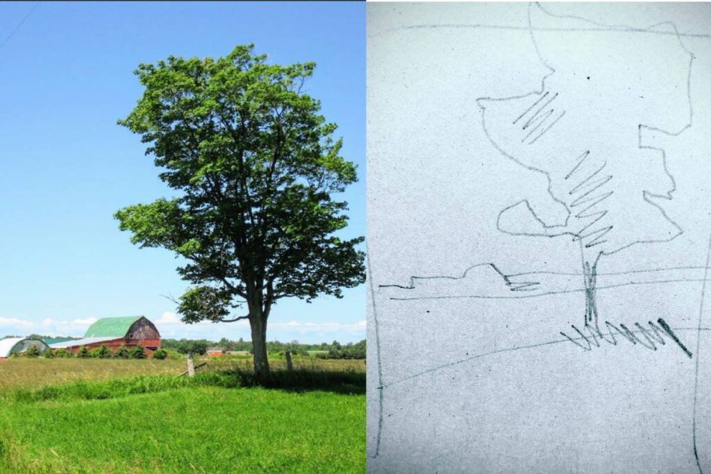 Landscape artist Irene Duma demonstrates an easy drawing exercise of farm in Ontario using only 5 lines. 